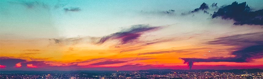 儋州茶虫网_儋州品茶